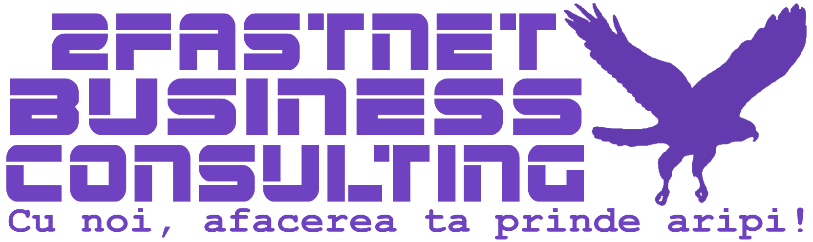 Consultanta Business